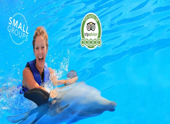 DOLPHIN ADVENTURE