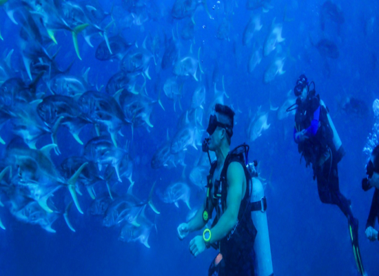 SCUBA DIVING AT EL MORRO