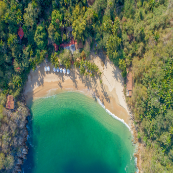 YELAPA & MAJAHUITAS